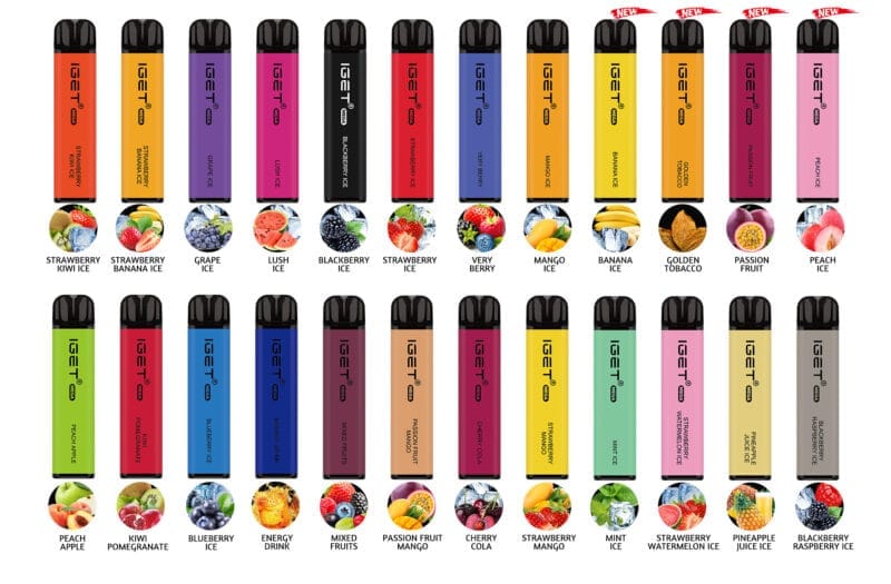 Iget Mega 3000 Puff Disposable Vape Wholesale Compact and Beginner-Friendly Design 1