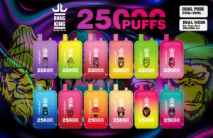 Top 5 Bang Vapes for Wholesale from Cloud Vape Supply: Ranked by Puff Count 1