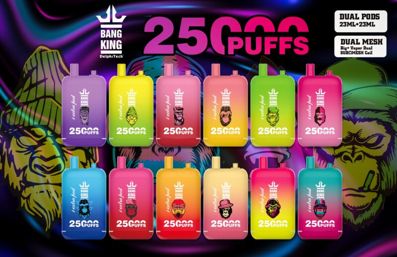 Bang King 25000 Puff Disposable Vape Wholesale High Capacity Long Lasting Design 1