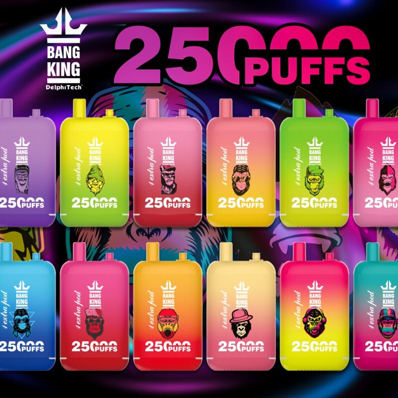 Bang King 25000 Puff Disposable Vape Wholesale High Capacity Long Lasting Design