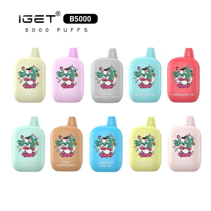 Iget B5000 Disposable Vape Wholesale High Capacity Rechargeable Design - Afbeelding 2