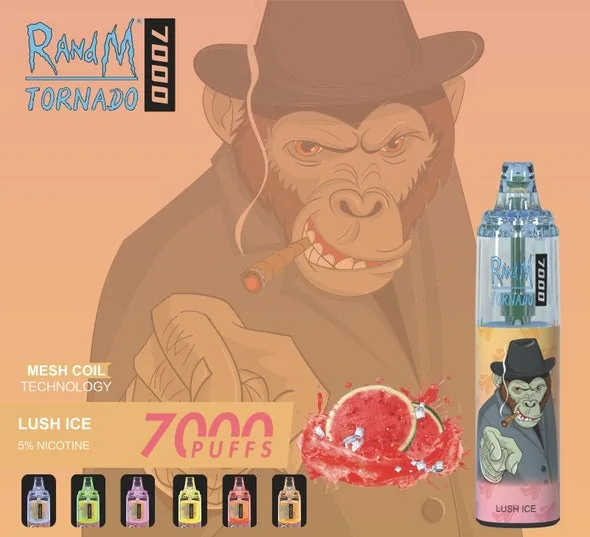 RandM Tornado 7000 trekjes Wegwerp-e-sigaret Groothandel Instelbare luchtstroom Duurzaam ontwerp 10 RandM Tornado 7000 Puffs Disposable Vape Wholesale Adjustable Airflow Durable Design - Afbeelding 10