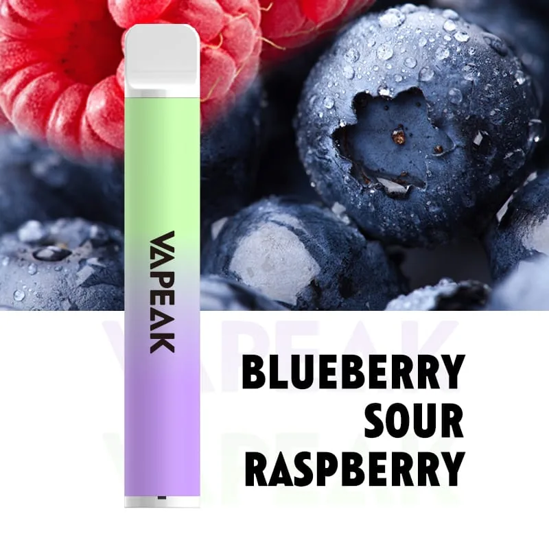 VAPEAK 600 Puffs Disposable Vape Wholesale Compact Hassle-Free Design