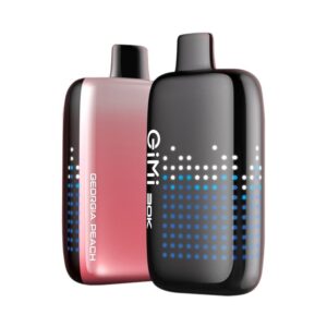 Christmas Gift Guide: Top Disposable Vapes for the Holidays 3