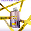 Vaptex DT22000 22000 Puffs Disposable Vape Wholesale High Capacity Smooth Vapor Delivery 12